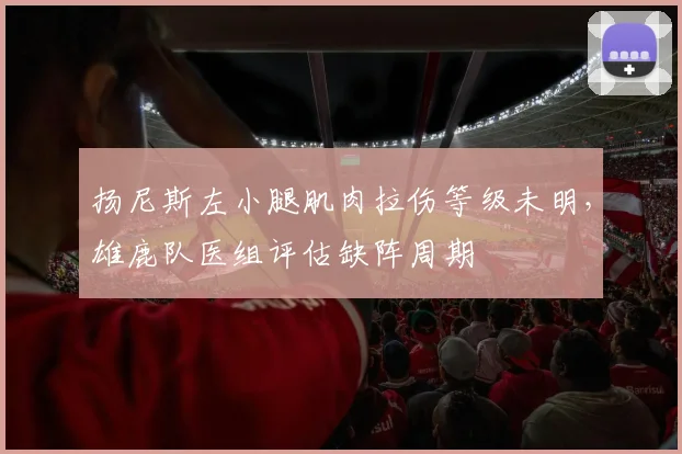 扬尼斯左小腿肌肉拉伤等级未明,雄鹿队医组评估缺阵周期