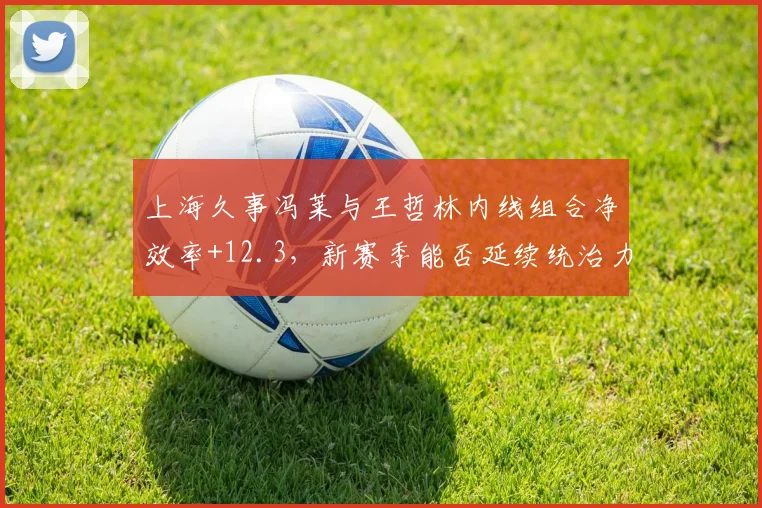 上海久事冯莱与王哲林内线组合净效率+12.3,新赛季能否延续统治力?